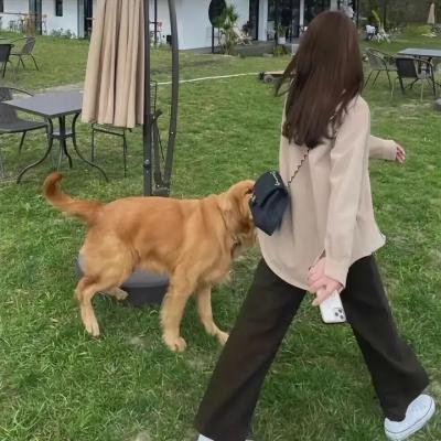 盗尸杀人狂